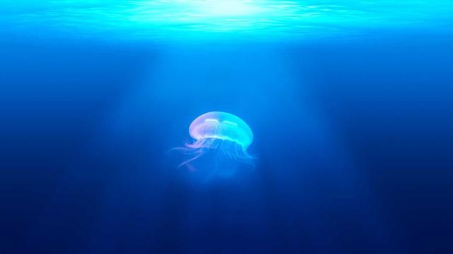海平线以下
